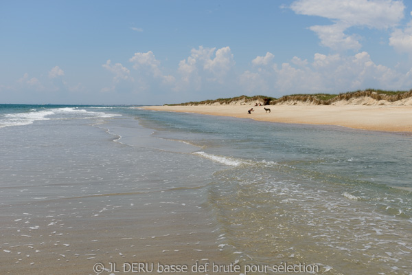 Beaufort, NC, USA